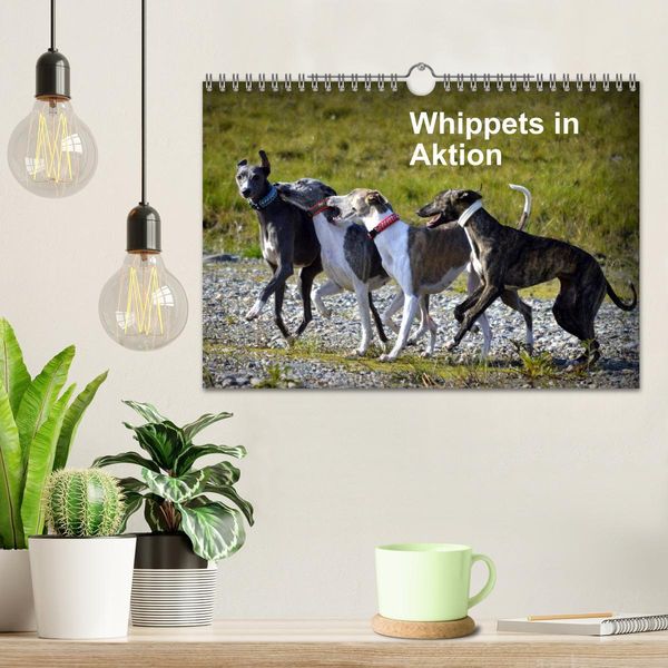 Produktbild: Whippets in Aktion (Wandkalender 2026 DIN A4 quer), CALVENDO Monatskalender