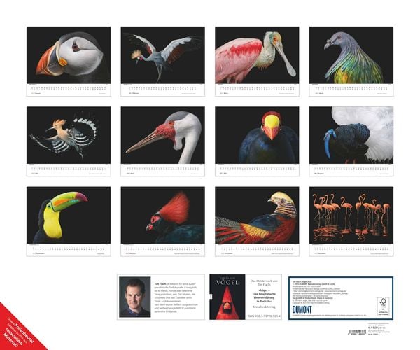 Produktbild: Tim Flach: Vögel 2026 – Posterkalender von DUMONT– Vogel-Porträts von Tim Flach – Poster-Format 50 x 70 cm