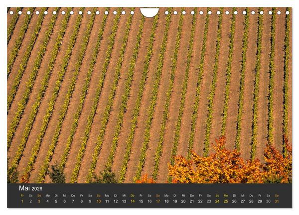 Produktbild: Die S&uuml;dsteirischen Weinstrasse (Wandkalender 2026 DIN A4 quer), CALVENDO Monatskalender