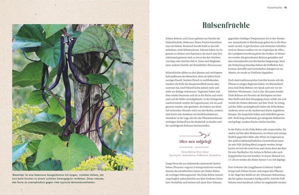 Produktbild: Alte Gem&uuml;sepflanzen wiederentdeckt