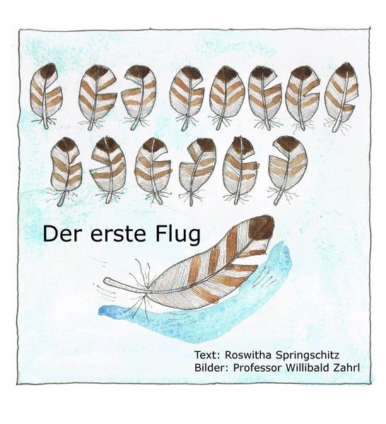 Produktbild: Der erste Flug