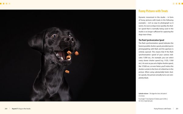 Produktbild: Dog Photography - Shooting with Bow "Wow" Effect