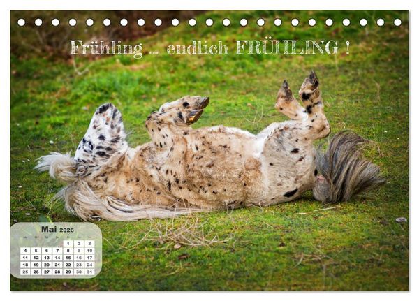 Produktbild: Tierisch und Heiter - Das Leben geht weiter 2026 (Tischkalender 2026 DIN A5 quer), CALVENDO Monatskalender