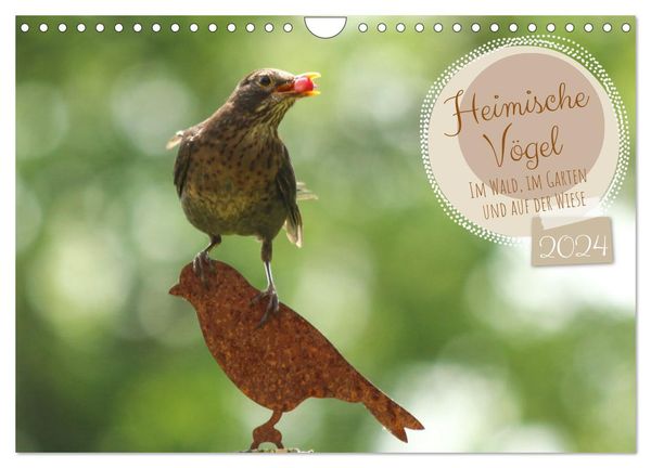 Heimische Vögel - Im Wald, im Garten und auf der Wiese (Wandkalender 2024 DIN A4 quer), CALVENDO Monatskalender