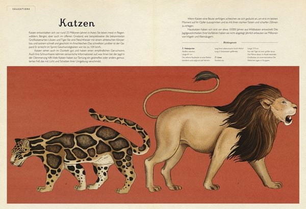 Produktbild: Das Museum der Tiere