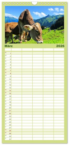 Produktbild: Familienplaner 2026 - K&uuml;he mit 5 Spalten (Wandkalender, 21 x 45 cm) CALVENDO