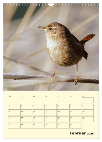 Produktbild: Vogelwelt an der Sieg (Wandkalender 2026 DIN A3 hoch), CALVENDO Monatskalender