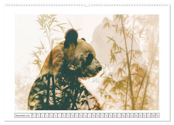 Produktbild: Traumhafte Silhouetten (hochwertiger Premium Wandkalender 2026 DIN A2 quer), Kunstdruck in Hochglanz