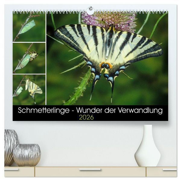 Produktbild: Schmetterlinge - Wunder der Verwandlung (hochwertiger Premium Wandkalender 2026 DIN A2 quer), Kunstdruck in Hochglanz