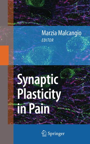 Produktbild: Synaptic Plasticity in Pain