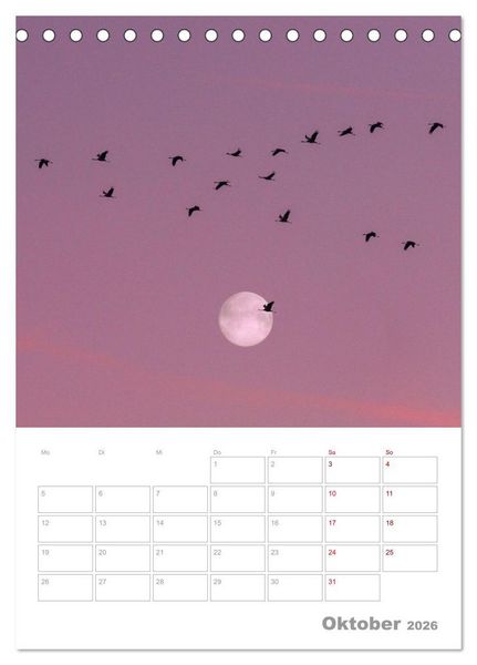 Produktbild: VOLLMOND-Planer - Im Licht der Nacht (Tischkalender 2026 DIN A5 hoch), CALVENDO Monatskalender