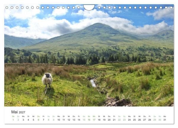 Produktbild: West Highland Love Kalender (Wandkalender 2027 DIN A4 quer), CALVENDO Monatskalender