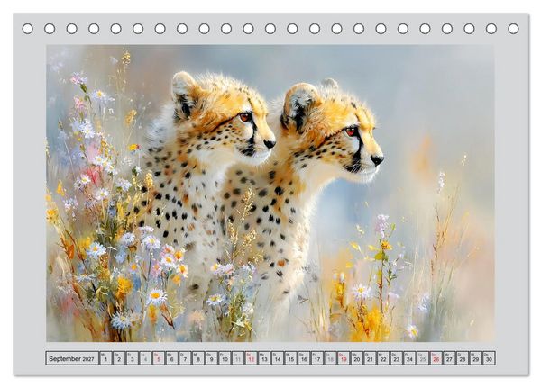 Produktbild: Geparden. Eleganz zwischen Speed und Stille (Tischkalender 2027 DIN A5 quer), CALVENDO Monatskalender