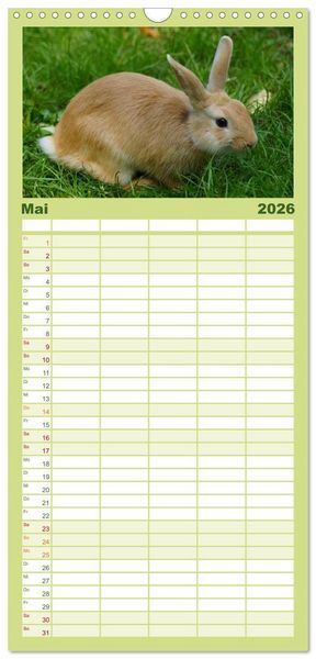 Produktbild: Familienplaner 2026 - Liebenswerte Zwergkaninchen mit 5 Spalten (Wandkalender, 21 x 45 cm) CALVENDO