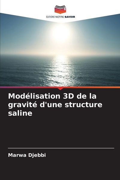 Produktbild: Mod&eacute;lisation 3D de la gravit&eacute; d'une structure saline