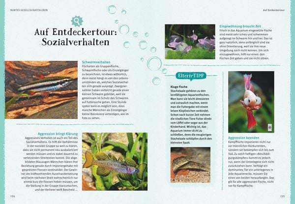 Faszinierendes Aquarium