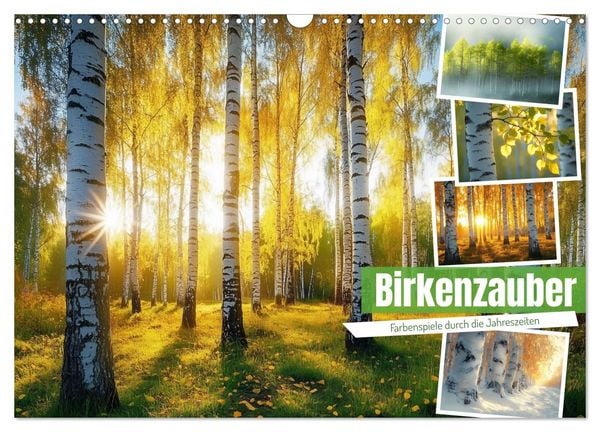 Produktbild: Birkenzauber (Wandkalender 2026 DIN A3 quer), CALVENDO Monatskalender