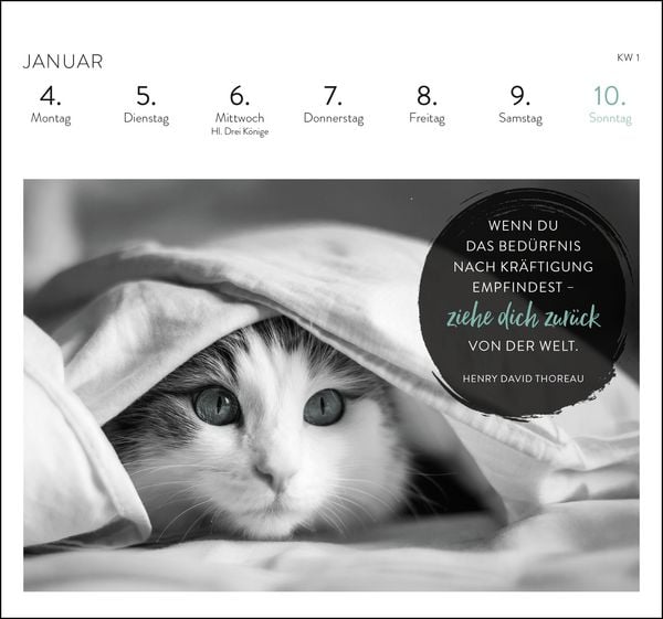 Produktbild: Postkartenkalender 2027: Inspirierende Worte f&uuml;r Katzenfreunde