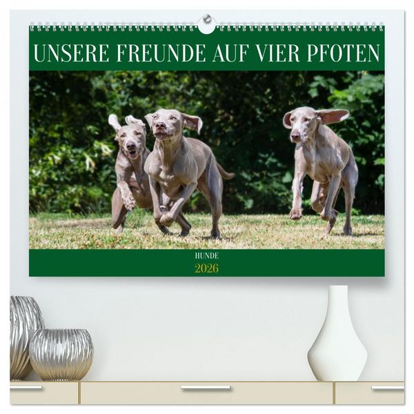 Produktbild: Unsere Freunde auf vier Pfoten - Hunde (hochwertiger Premium Wandkalender 2026 DIN A2 quer), Kunstdruck in Hochglanz