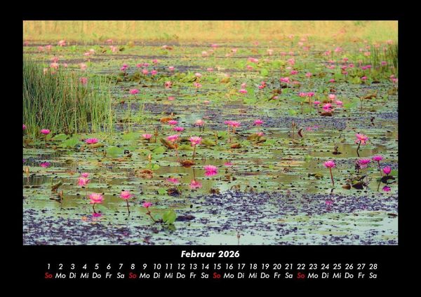 Produktbild: Rosentraum 2026 Fotokalender DIN A3
