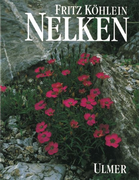 Produktbild: Nelken