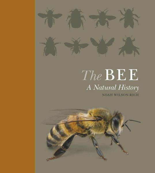 Produktbild: The Bee