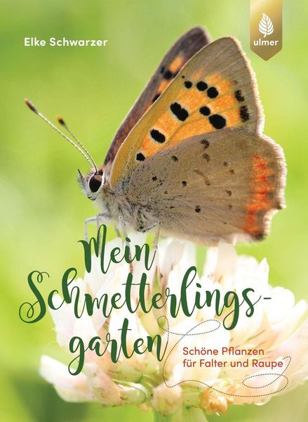 Produktbild: Mein Schmetterlingsgarten