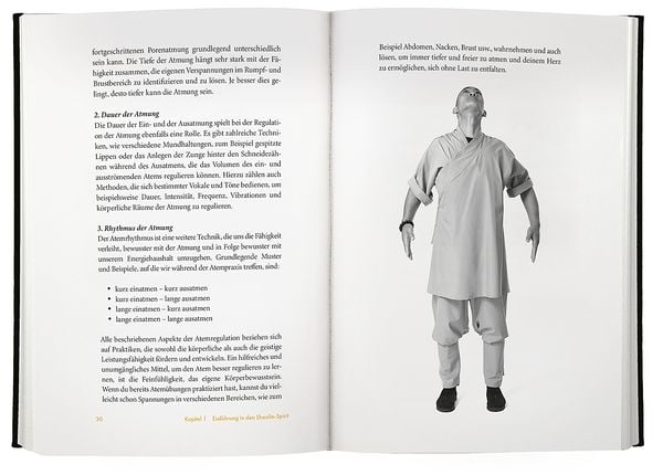 Produktbild: Shaolin Spirit