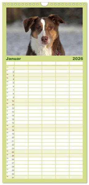 Produktbild: Familienplaner 2026 - Faszination Hund mit 5 Spalten (Wandkalender, 21 x 45 cm) CALVENDO