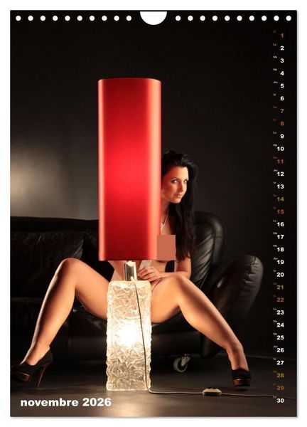 Produktbild: Le canap&eacute; (Calendrier mural 2026 DIN A4 horizontal), CALVENDO calendrier mensuel