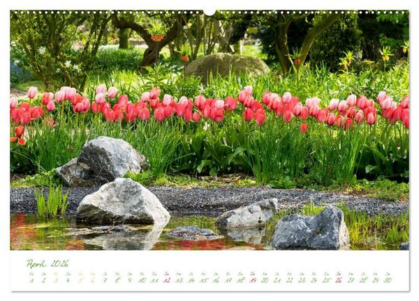 Produktbild: Kreislehrgarten in Steinfurt (hochwertiger Premium Wandkalender 2026 DIN A2 quer), Kunstdruck in Hochglanz