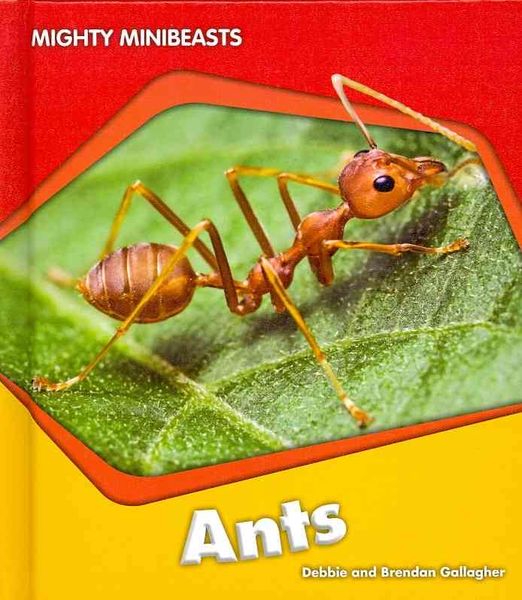 Produktbild: Mighty Minibeasts 1 (6-Book Set)