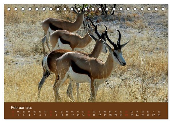 Produktbild: Namibia - faszinierende Menschen und Tiere (Tischkalender 2026 DIN A5 quer), CALVENDO Monatskalender