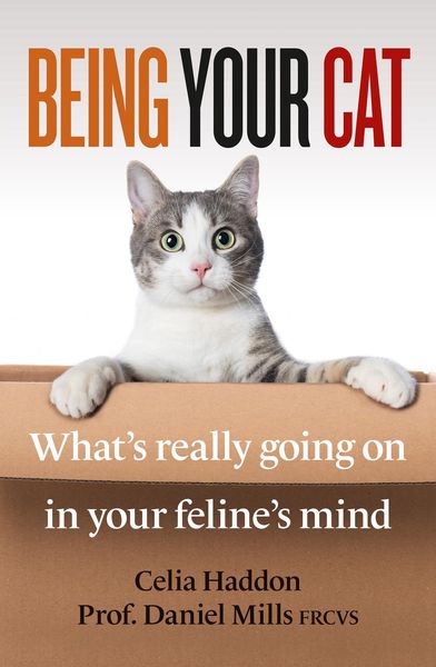 Produktbild: Being Your Cat