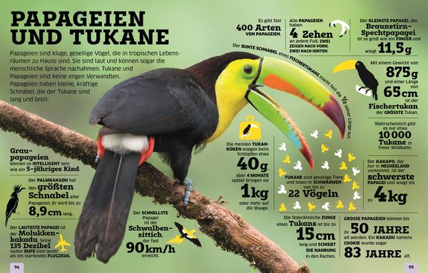 Produktbild: Unsere Welt in Zahlen. Tiere