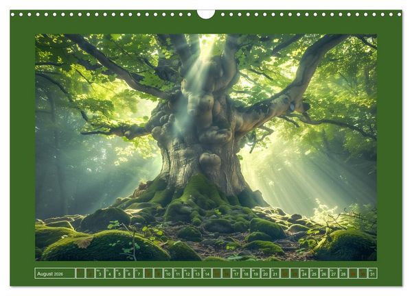 Produktbild: Die Zeitreisenden des Waldes (Wandkalender 2026 DIN A3 quer), CALVENDO Monatskalender
