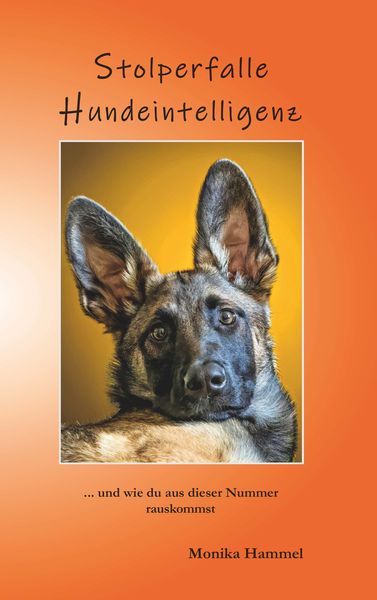 Produktbild: Stolperfalle Hundeintelligenz