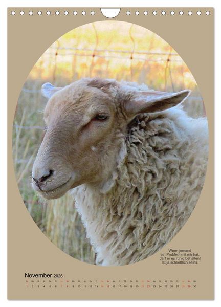 Produktbild: Scharfe Portraits (Wandkalender 2026 DIN A4 hoch), CALVENDO Monatskalender