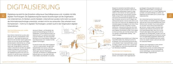 Produktbild: Organisation in einer Digitalen Zeit