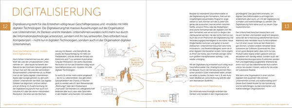 Produktbild: Organisation in einer Digitalen Zeit