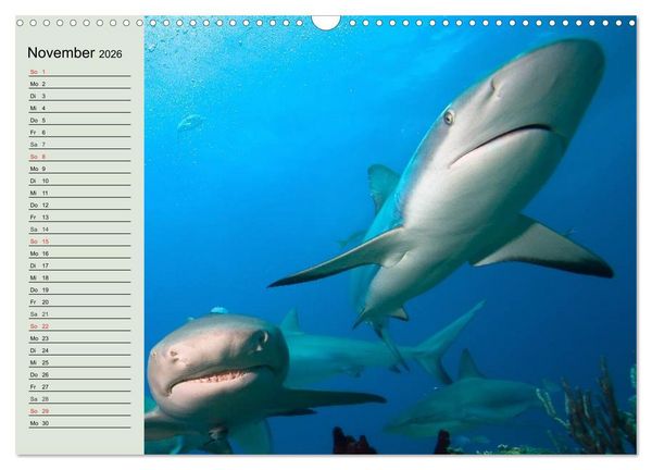 Produktbild: Leben in den Weltmeeren. Delfine, Wale und Haie (Wandkalender 2026 DIN A3 quer), CALVENDO Monatskalender