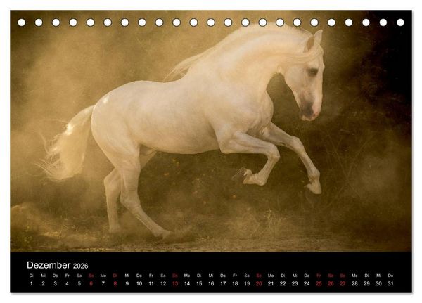 Produktbild: Spaniens stolze Pferde (Tischkalender 2026 DIN A5 quer), CALVENDO Monatskalender