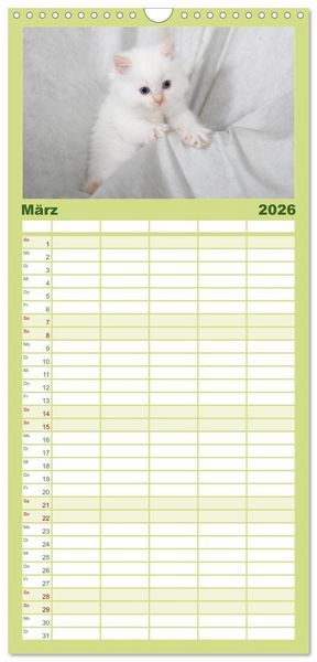 Produktbild: Familienplaner 2026 - Ragdoll Kitten mit 5 Spalten (Wandkalender, 21 x 45 cm) CALVENDO