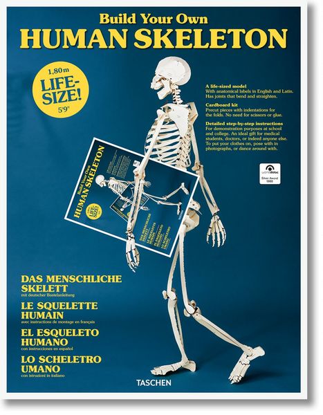 Produktbild: Build Your Own Human Skeleton &ndash; Life Size!