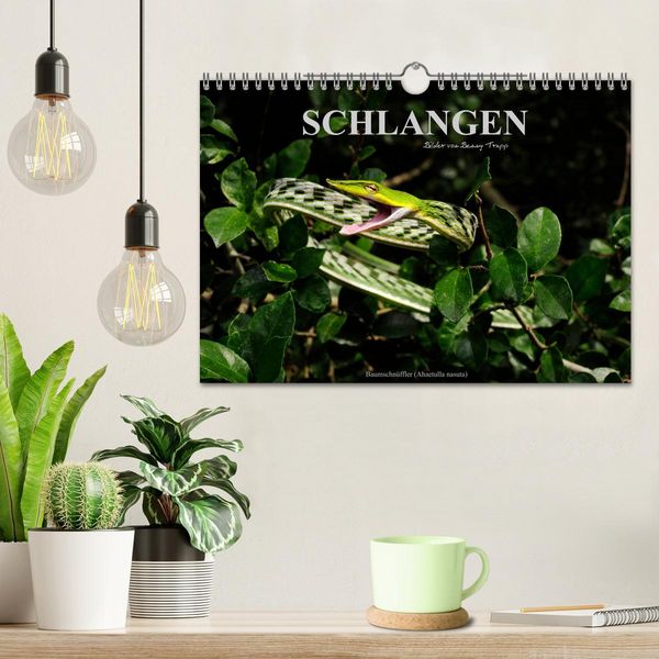 Produktbild: Schlangen (Wandkalender 2026 DIN A4 quer), CALVENDO Monatskalender