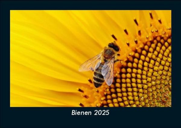 Produktbild: Bienen 2025 Fotokalender DIN A5