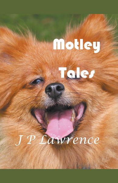 Produktbild: Motley Tales