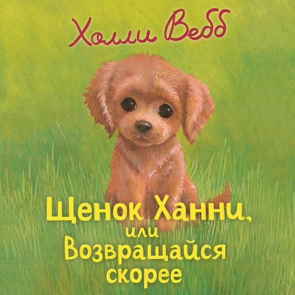 Schenok Hanni, ili Vozvraschaysya skoree - Holly Webb, Audio, 9785042316906