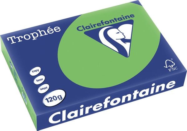 Kopierpapier A4 120g maigrün