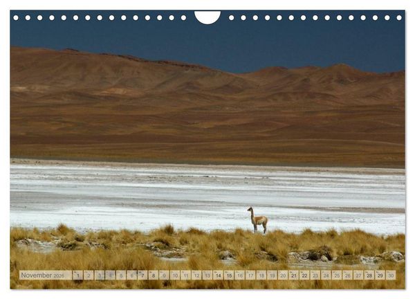 Produktbild: Argentinien Christian Heeb (Wandkalender 2026 DIN A4 quer), CALVENDO Monatskalender